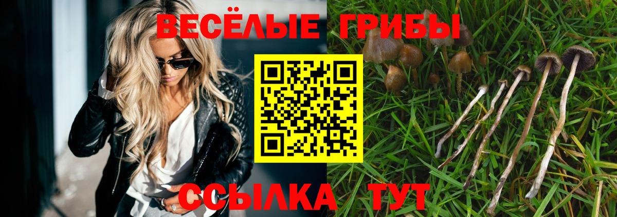 Псилоцибиновые грибы Psilocybine cubensis Касимов